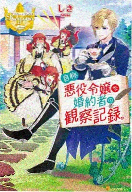 小姐姐2：星光之路